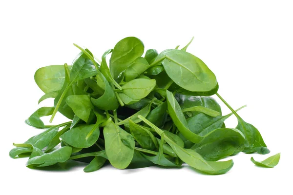 Green Spinach White Background — Stock Photo, Image