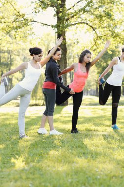 Spor. Kadınlar parkta egzersiz yapar.