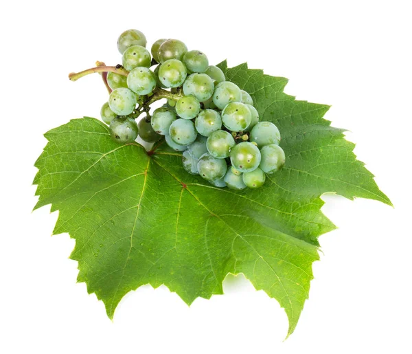 Green Grapes White Background — Stock Photo, Image