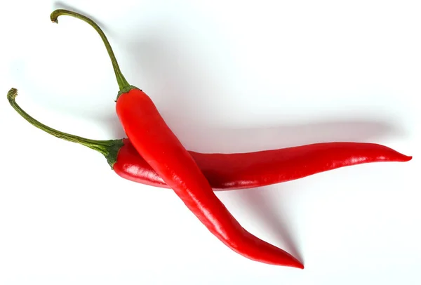 Czerwony Pieprz Chili Białym Tle — Zdjęcie stockowe