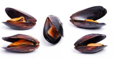 Beyaz arka planda lezzetli midyeler.