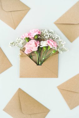 Yumuşak renklerin hoş çiçekleri