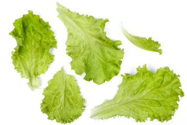 Beyaz arka planda lezzetli bir salata.