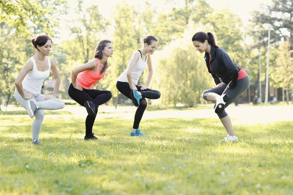 Spor Kadınlar Parkta Egzersiz Yapar — Stok fotoğraf