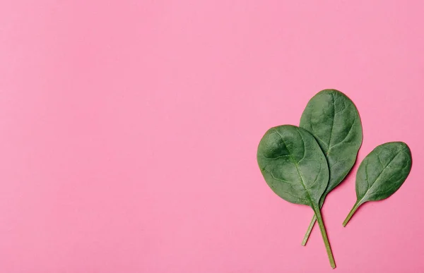 Spinat Auf Rosa Hintergrund — Stockfoto