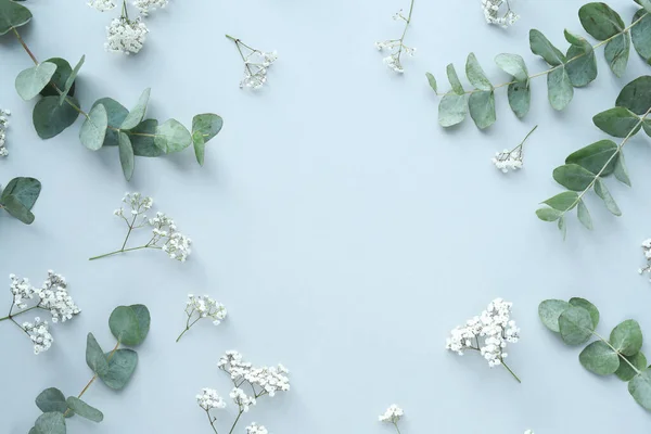 Angenehme Blumen Sanften Farben — Stockfoto