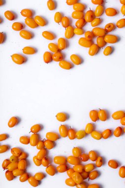 Beyaz arka planda deniz dikenleri