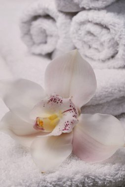 Kozmetoloji. Beyaz havlu yakın plan.