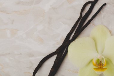 Masadaki vanilya çubuğu