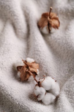 Masadaki pamuk çiçeği