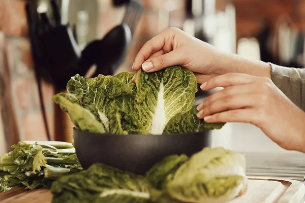 Cucino Donna Che Tiene Foglie Insalata — Foto Stock