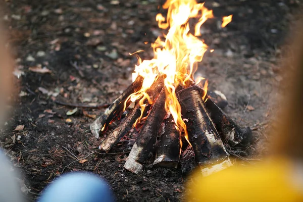Seyahat et ve keşfet. Ormandaki kadınlar
