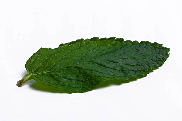 Menta Sobre Fondo Blanco — Foto de Stock