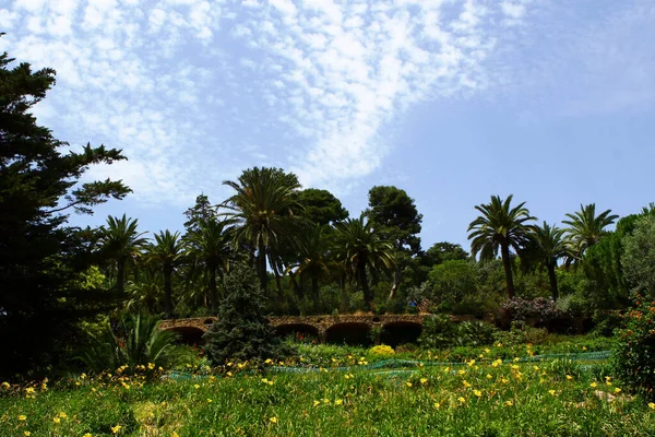 Avuç içinin güzel doğası