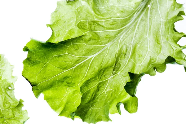 Délicieuse Salade Sur Fond Blanc — Photo