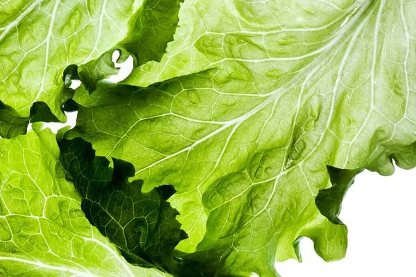Delicious Salad White Background — Stock Photo, Image