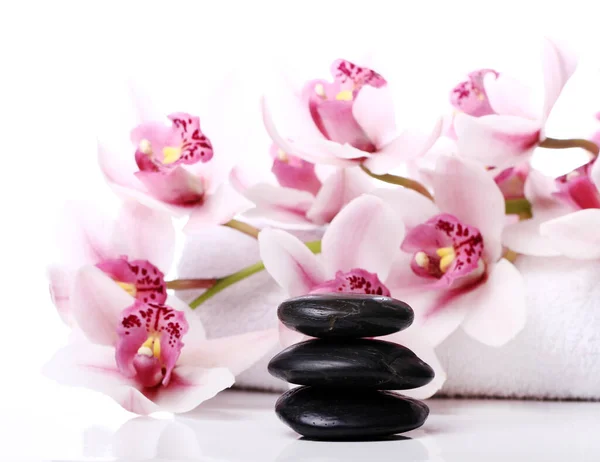 Spa Stones Beautiful Orchid White Background Stock Image