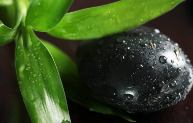 close up masaj taşların ve bambu yaprakları