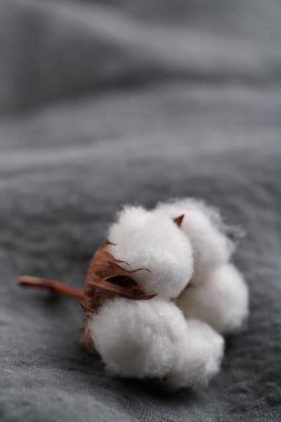 Masadaki pamuk çiçeği