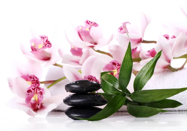 Wellness Steine Und Schöne Orchidee Auf Weißem Hintergrund — Stockfoto