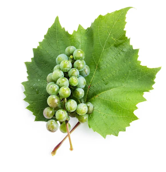 Green Grapes White Background — Stock Photo, Image