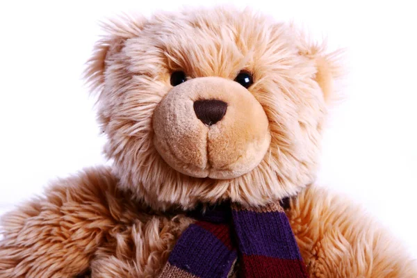 Nahaufnahme Von Niedlichen Teddybär — Stockfoto