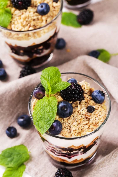 Gesunde Ernährung Leckeres Müsli Dessert Mit Blaubeeren — Stockfoto