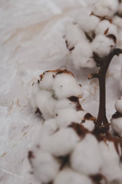 Mermer masada pamuk çiçeği