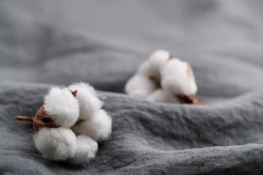 Masadaki pamuk çiçeği