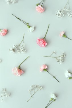 Yumuşak renklerin hoş çiçekleri