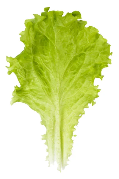 Heerlijke Salade Een Witte Achtergrond — Stockfoto