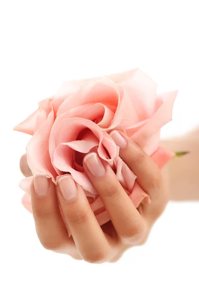 Cuidado Com Pele Mãos Com Rosa Rosa Cabeça — Fotografia de Stock