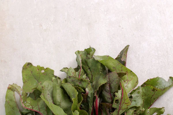 Vegetabiliskt Rödbetor Bordet — Stockfoto