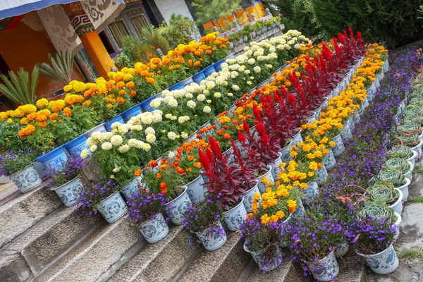 Norbulingka Summer palade of Dalai Lama in Lhasa, Tibet, flowers on steps different and colourful arranged — Stock Photo, Image