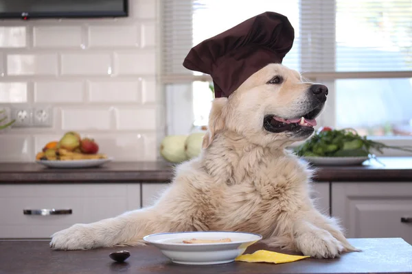 Kızarmış peynir ekmek çorbası soğan krem yeme altın geri almak.