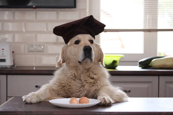 İki yumurta levha ile altın geri almak.