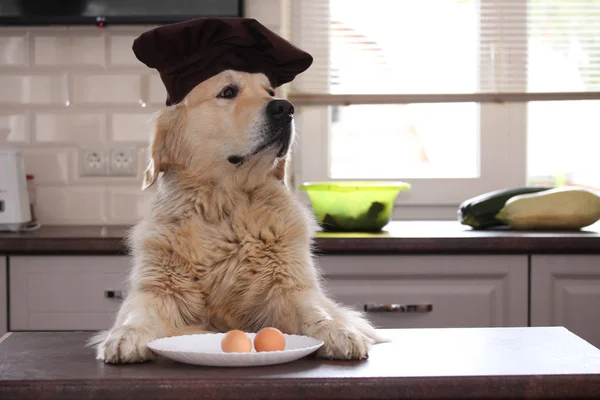 İki yumurta levha ile altın geri almak.