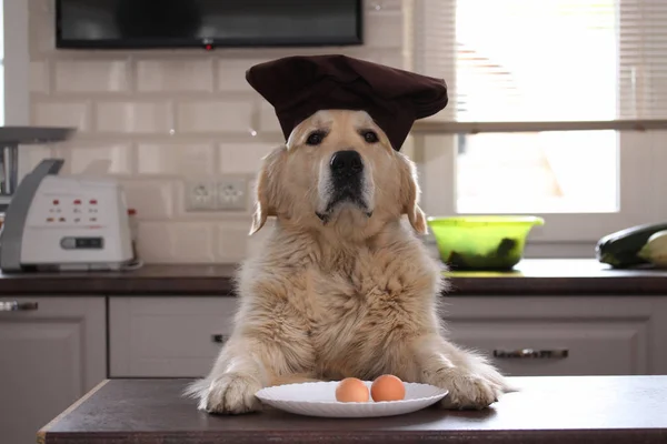 İki yumurta levha ile altın geri almak.