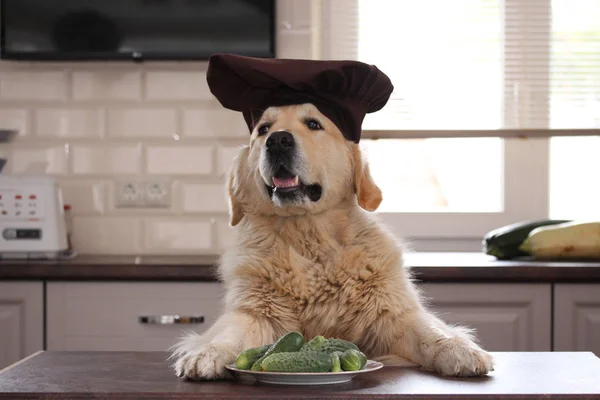 Plaka salatalık ile altın geri almak.