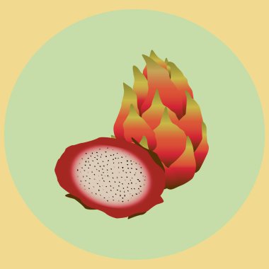 Ejderha meyvesi. Taze meyve. Gerçekçi meyve. Vektör illüstrasyonu.