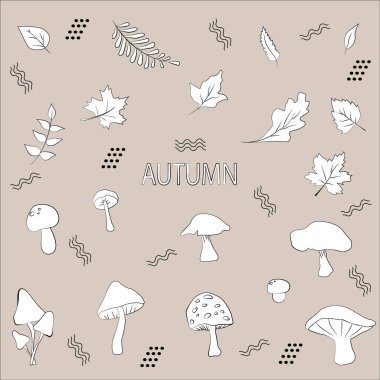 Sonbahar illüstrasyonu. Yapraklar ve mantarlar. Vektör çizimi..