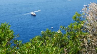 Capri Adası, İtalya, Tyrhenian denizindeki ağaçların arasındaki teknelerin manzarası.