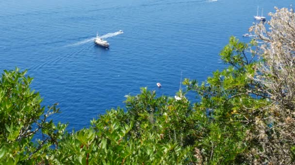 Capri Island Italien Över Båtarna Tyrrenska Havet Genom Träden — Stockvideo