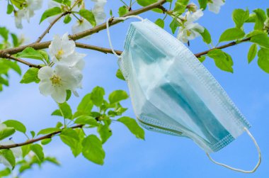 Koronavirüs salgınından dolayı karantinanın sonunun sembolü olarak çiçek açan bir dala koruyucu bir maske asılır.