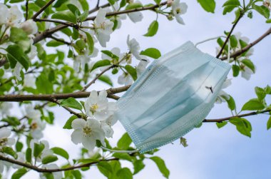 Koronavirüs salgınından dolayı karantinanın sonunun sembolü olarak çiçek açan bir dala koruyucu bir maske asılır.