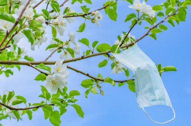 Koronavirüs salgınından dolayı karantinanın sonunun sembolü olarak çiçek açan bir dala koruyucu bir maske asılır.