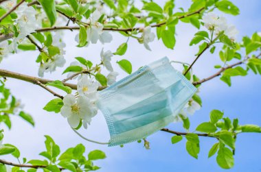 Koronavirüs salgınından dolayı karantinanın sonunun sembolü olarak çiçek açan bir dala koruyucu bir maske asılır.