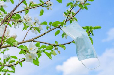 Koronavirüs salgınından dolayı karantinanın sonunun sembolü olarak çiçek açan bir dala koruyucu bir maske asılır.