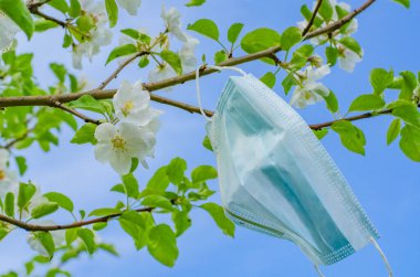 Koronavirüs salgınından dolayı karantinanın sonunun sembolü olarak çiçek açan bir dala koruyucu bir maske asılır.