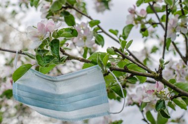 Koronavirüs salgınından dolayı karantinanın sonunun sembolü olarak çiçek açan bir dala koruyucu bir maske asılır.